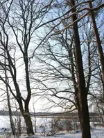 P1090846_450_600.webp
