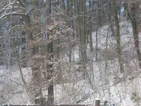 040.webp