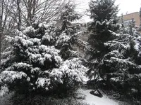 garten 09 005 Winter.webp
