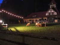 (27).webp