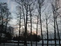 IMG_1598.webp