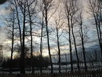 IMG_1602.webp