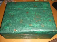 CIMG2814.webp