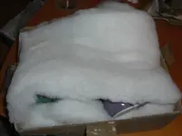 CIMG2815.webp