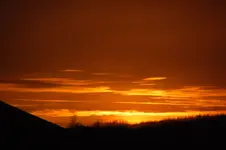 DSC_3224.webp