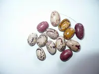 Größenänderung P1050518.webp