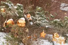 Winterschmuck.webp