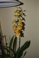 DSC_3415.webp