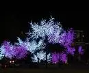 images.webp