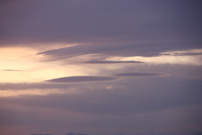 IMG_3686(1).webp