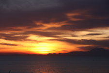 IMG_3688(1).webp