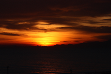 IMG_3680(1).webp