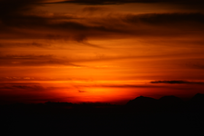 IMG_3685(1).webp
