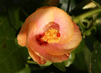 IMG_3667(1).webp