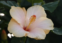 IMG_3668(1).webp