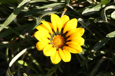IMG_3696(1).webp