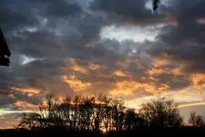 IMG_0006 (2).webp