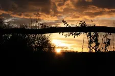 IMG_0013 (2).webp