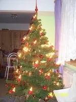 002.webp