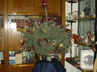IMGP2371.webp