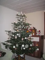 IMG_1654.webp