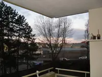 SDC11459.webp