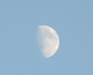 IMG_0010 (3).webp