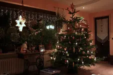 IMG_0005 (3).webp