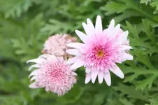 IMG_4028.webp