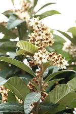IMG_4032 - Kopie.webp