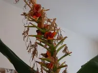 P1090897_600_450.webp