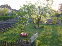 19.4.2009 (30).webp