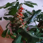 P1090893_700_700.webp