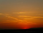 Sonnenaufgang Laubenheim 2008 08.JPG