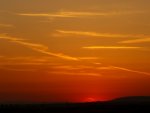 Sonnenaufgang Laubenheim 2008 09.JPG