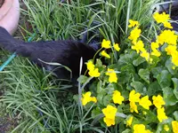 IMGP0047.webp