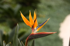 IMG_4145(1).webp