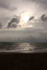 IMG_4219(1).webp
