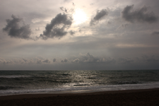 IMG_4221(1).webp