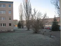 001.webp