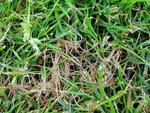 IMG_20210609_201136.jpg