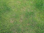 IMG_20210609_221209.jpg