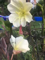 D45D8303-DA4B-4E55-A213-544DBD1AEF3E.webp