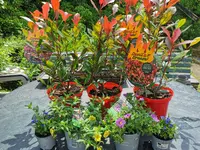 IMG_20210610_122310.webp