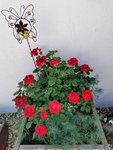 IMG_20210608_081949.jpg