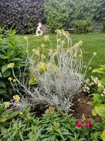 IMG_20210609_193940.webp