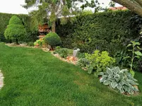 IMG_20210609_194432.webp