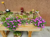 IMG_20210610_120744.webp