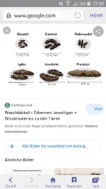 Screenshot_2021-06-10-17-49-51.webp