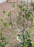 IMG_3883 2.jpeg